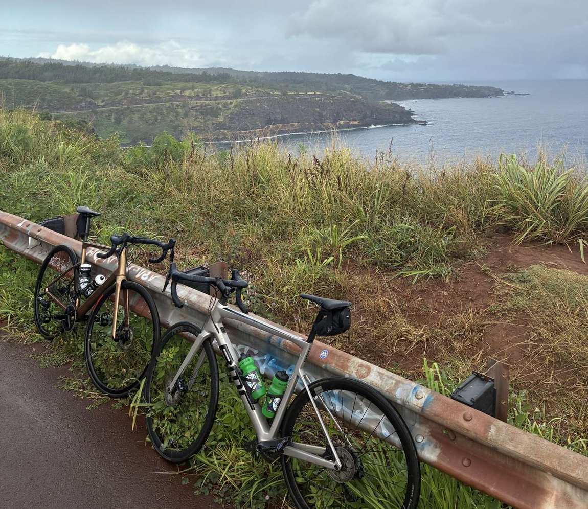 Two bikes resting against a guardrail above the coast